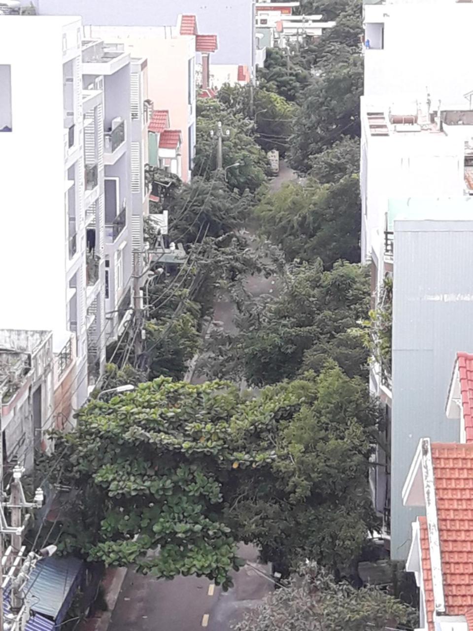 Anh Quan Hotel 퀴논 외부 사진